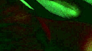 stepdaughter gives amazing blowjob, taking two loads in her mouth with ease