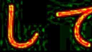 ntr lesbians scissoring with toys