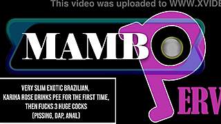 yo, slim brazilian karina rose takes triple huge cocks