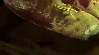 Recapping my Mexico trip with clothes ripped adventures.