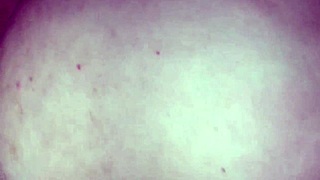 teen with braids in pajamas sucks and swallows my cum