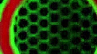 kate faucett in sensual lesbian scene