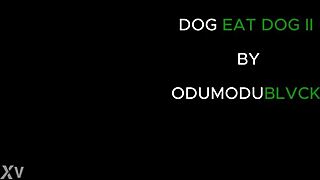 Nigerian girls fuck different. Want to see how?