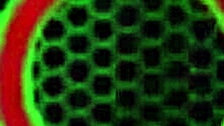 Sara jay shakes her big ass in lingerie.