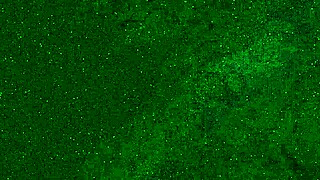 crazy girl 18 yo pees on public beach right in her panties, wets them and goes to sunbathe