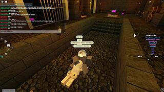 Exploring Roblox porn with riding, blowjob, anal, and doggystyle adventures in New Zealand