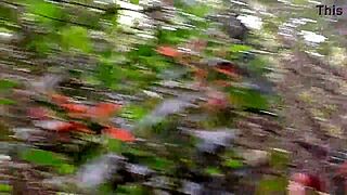 O Cara Pagou Pra Ver A Minha Buceta No Parque Ecológico Tive Que Entrar No Mato E Mostrar Pra Ele