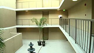 Lesbo Fucking Lela Star And Brooke Belle In Stockings