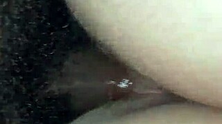 Pawg Tries Bbc Creampie In Rough Riding And Fucking For Cash