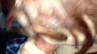 Retro Blue Film From 2017