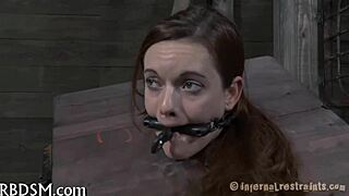 The sadomasochism master dominates his slave