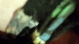 Hey, check out this chubby girlfriend getting wild with her fat friend!