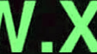 Hey, check out this chubby girlfriend getting wild with her fat friend!