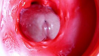 Can A Big Red Cock Inside Juicy Hole Deliver Sperm At Any Moment?