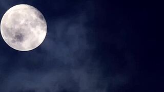 Her Dead Friends Emerge Out Of The Grave And Coming For Her In Chilling Horror Twist