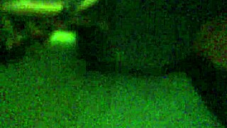 i feel so aroused by this fat booty shaking wildly