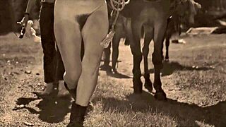 dark lantern entertainment shares erotic confessions from a victorian gentleman's secret life