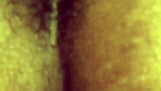 Oh wow, check out this hot ebony milf Lala getting a creamy creampie in her big ass