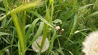 hey, i piss in public nature spot and masturbate my pussy to orgasm - lesbian illusion girls