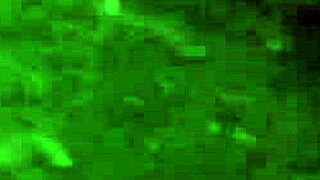 Scarlet Taylor and busty ebony Juliana share dicks in 4some with handjob cowgirl riding and blowjob action