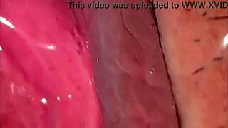 That amateur pink pussy feels amazing 263 days after her first time