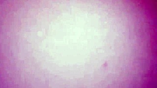 Oh God, I Feel So Horny As This Cute Latina Bride Babe Uses Dildo On Big Ass And Tits Until Lover Detonates Me.