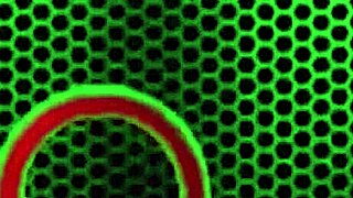 why is oily naughty redhead nina kayy vibing her wet clit like that?