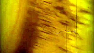 Intense Cock Pounding Pussy Sucking Ass Worship Frenzy